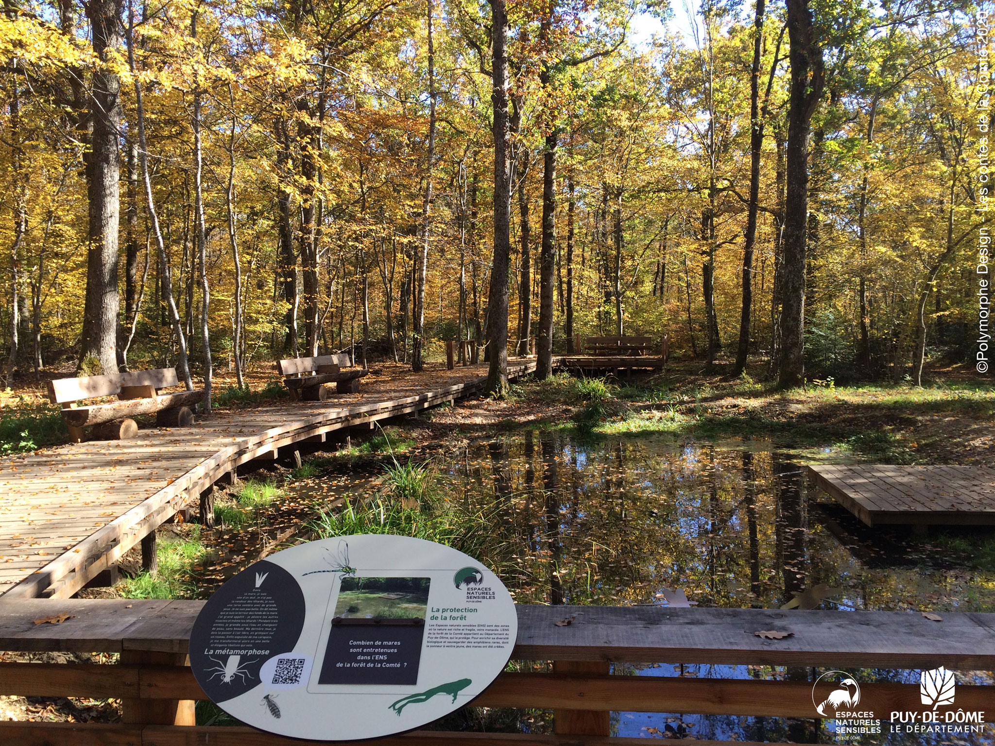 Les contes de la Comt&eacute; : vue sur la mare.
