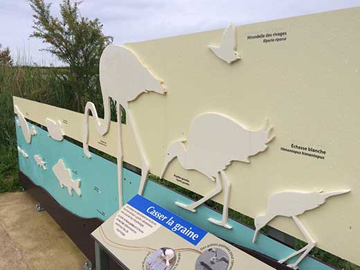 D&eacute;couverte tactile des oiseaux grandeur nature.