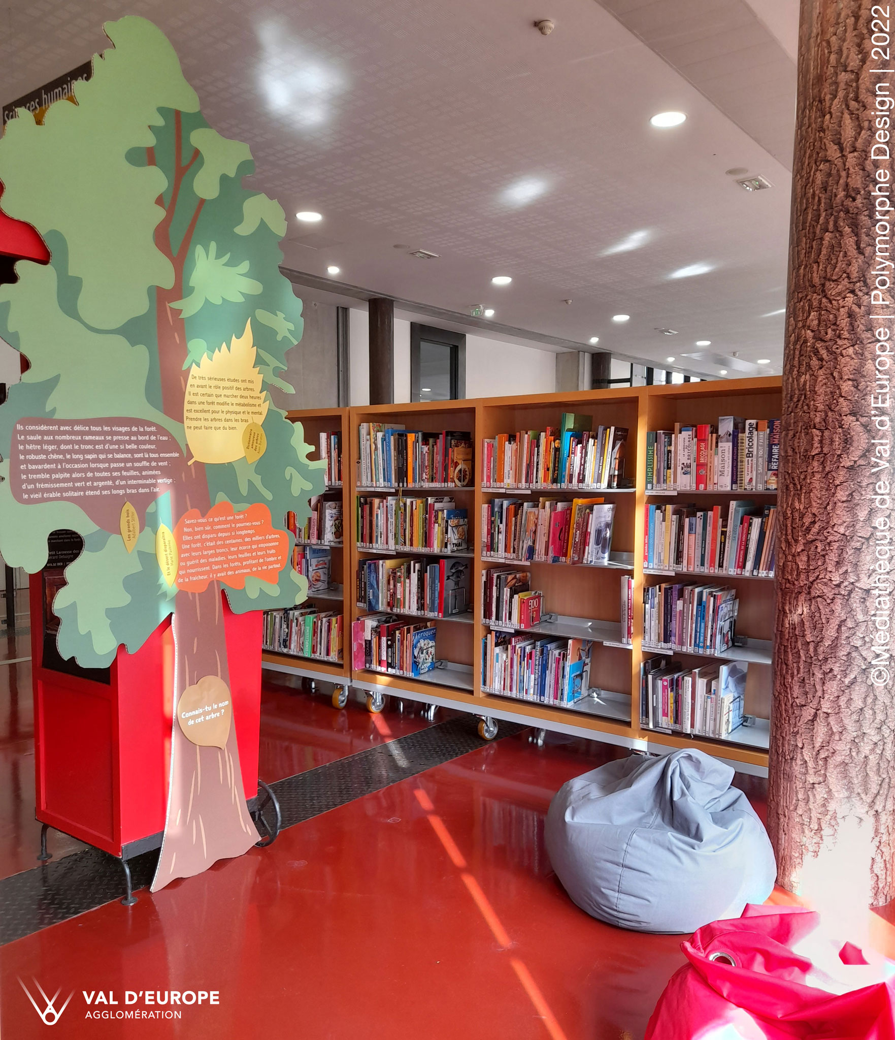 Habillage de la m&eacute;diath&egrave;que en arbres