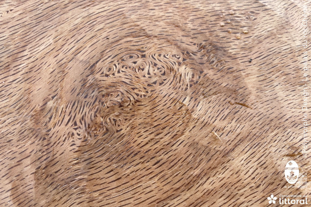 Photo de d&eacute;tail du bois.